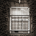 City Window Detail